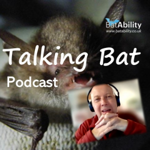 Talking Bat-logo