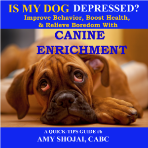 Is My Dog Depressed?