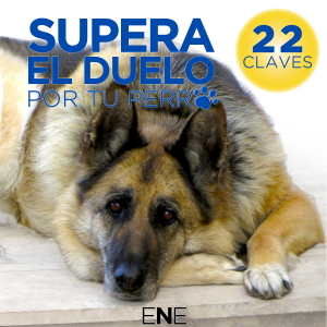 SUPERA EL DUELO POR TU PERRO-logo