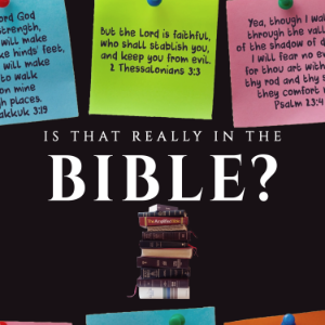 Is That Really in the Bible?