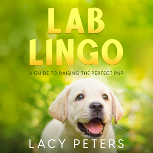 Lab Lingo-logo