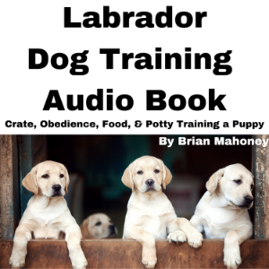 Labrador Dog Training Audio Book-logo