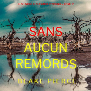 Sans aucun remords (Les enquêtes d’Amber Young – Tome 2)