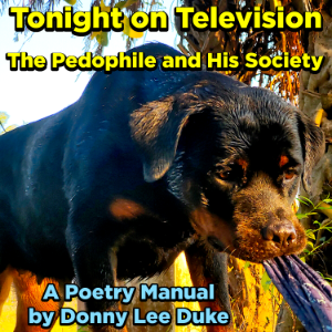 Tonight on Television