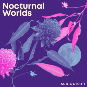 Nocturnal Worlds-logo