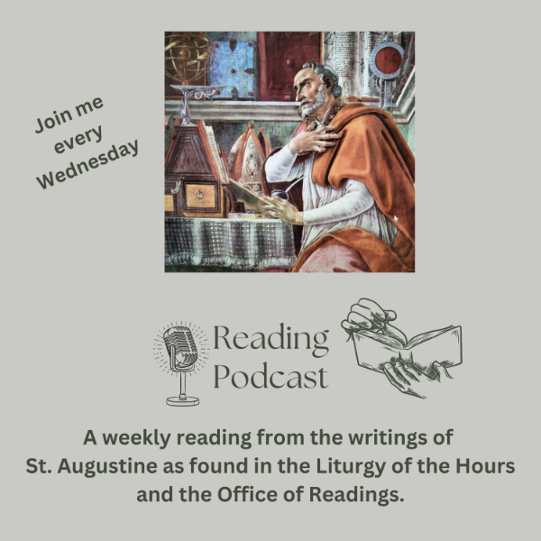 A weekly reading from the writings of st augustine father of the