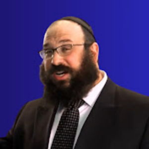 לומדים עם הרב מנחם וולף-logo