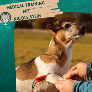 Medical Training mit Nicole Stein-logo