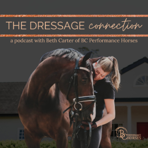 The Dressage Connection-logo