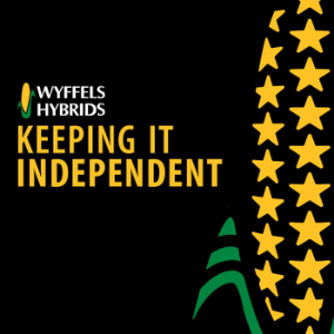 Keeping It Independent-logo