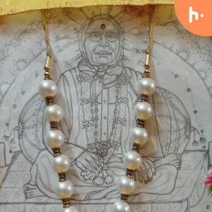 Sri Anandpur Dham Satsang-logo