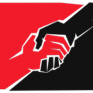 Anarchist Network Dresden-logo