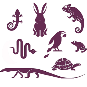 Exotic Pets™-logo