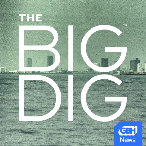 The Big Dig-logo