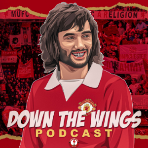 DOWN THE WINGS PODCAST-logo