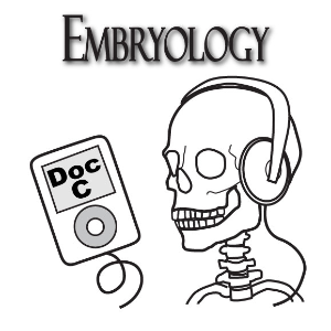 Biology 3130 -- Embryology with Doc C-logo