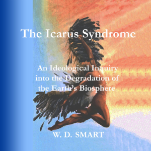 The Icarus Syndrome