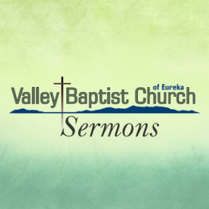 Salvation Security and Assurance-logo