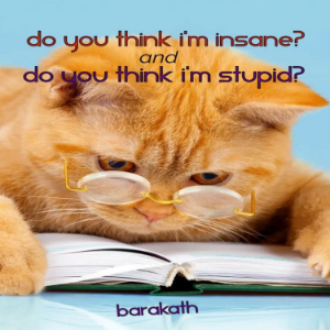 Do you think I'm insane? and Do you think I'm stupid?-logo