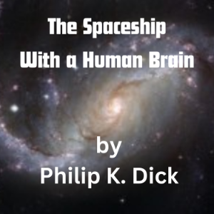 The Spaceship With a Human Brain