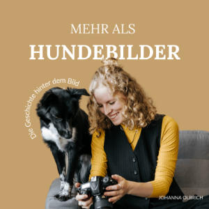 Mehr als Hundebilder - die Geschichte hinter dem Bild-logo