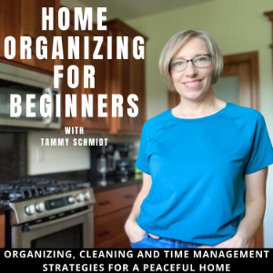 Home Organizing for Beginners: Organizing, cleaning and time management strategies-logo
