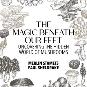 The Magic Beneath Our Feet