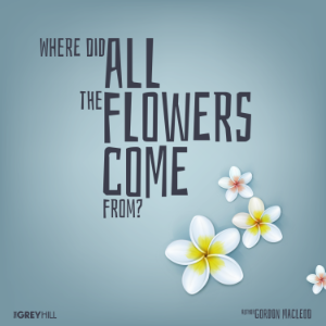 Where Did All The Flowers Come From?-logo