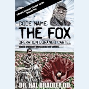CODE NAME: THE FOX