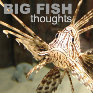 Big Fish Thoughts Podcast-logo