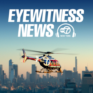 Eyewitness News New York-logo