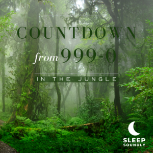 Countdown from 999-0: In the Jungle