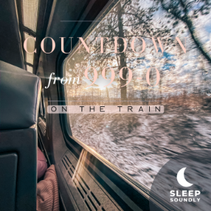 Countdown from 999-0: On the Train