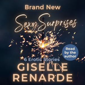 Brand New Sexy Surprises-logo