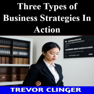 Three Types of Business Strategies in Action-logo