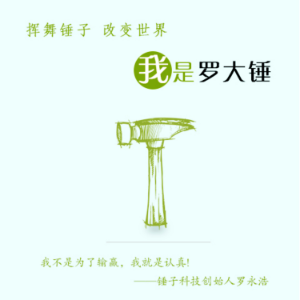 挥舞锤子,改变世界:我是罗大锤-logo