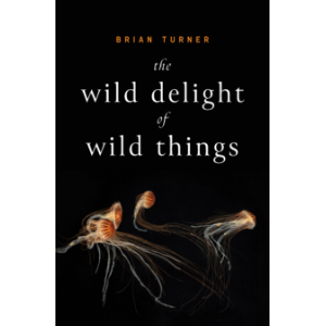 The Wild Delight of Wild Things-logo