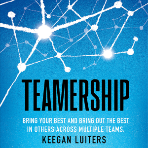 Teamership-logo