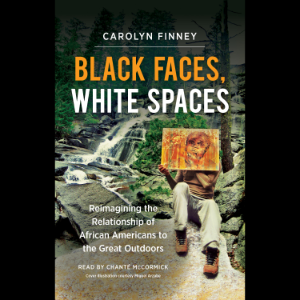 Black Faces, White Spaces