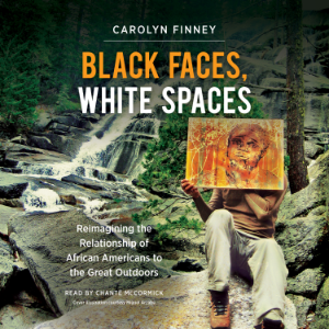 Black Faces, White Spaces