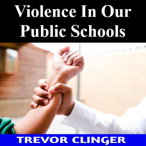 Violence In Our Public Schools