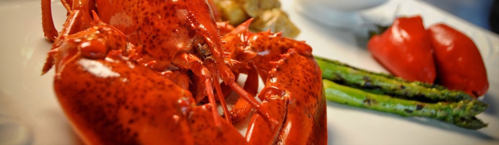 Last Chance Foods from WNYC