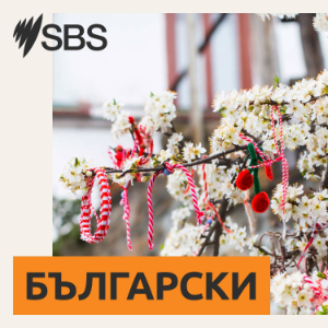 SBS Bulgarian - SBS на Български-logo