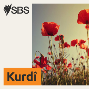 Rexneyên berfireh yên raya giştî li hukûmetên Iraq û Herêma Kurdistanê hene