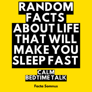 Random Facts About Life That Will Make You Sleep Fast: Calm Bedtime Talk