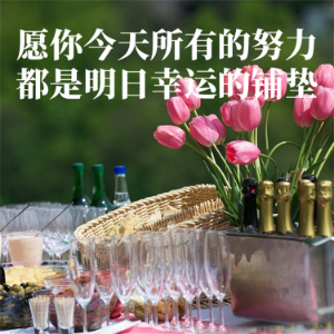 愿你今天所有的努力,都是明日幸运的铺垫-logo