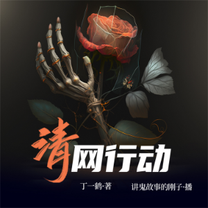 清网行动