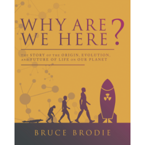 Why Are We Here?