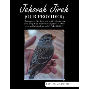 Jehovah Jireh  (Our Provider)
