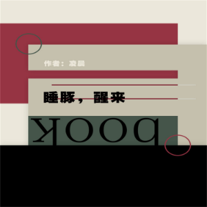 睡豚,醒来-logo